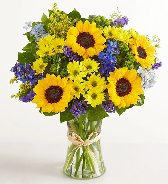 Merci/Tournesol, delphinium bleu, marguerite jaune, marguerite verte et fleur étoilée violette