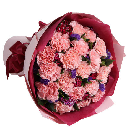 Le bonheur fleurit/19 œillets roses