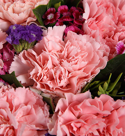 Le bonheur fleurit/19 œillets roses