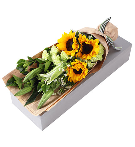La chaleur du soleil