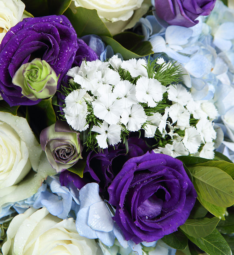 Bouquet Bear Hug &amp; Accompany You/19 roses blanches, 3 hortensias bleus, 5 platycodons violets