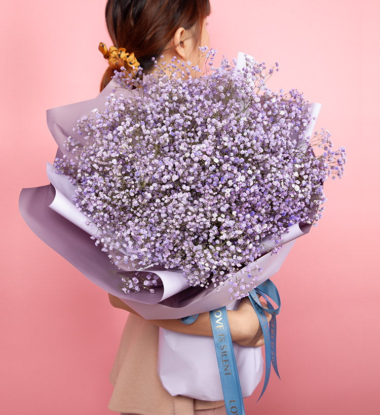 10 gypsophiles violet clair