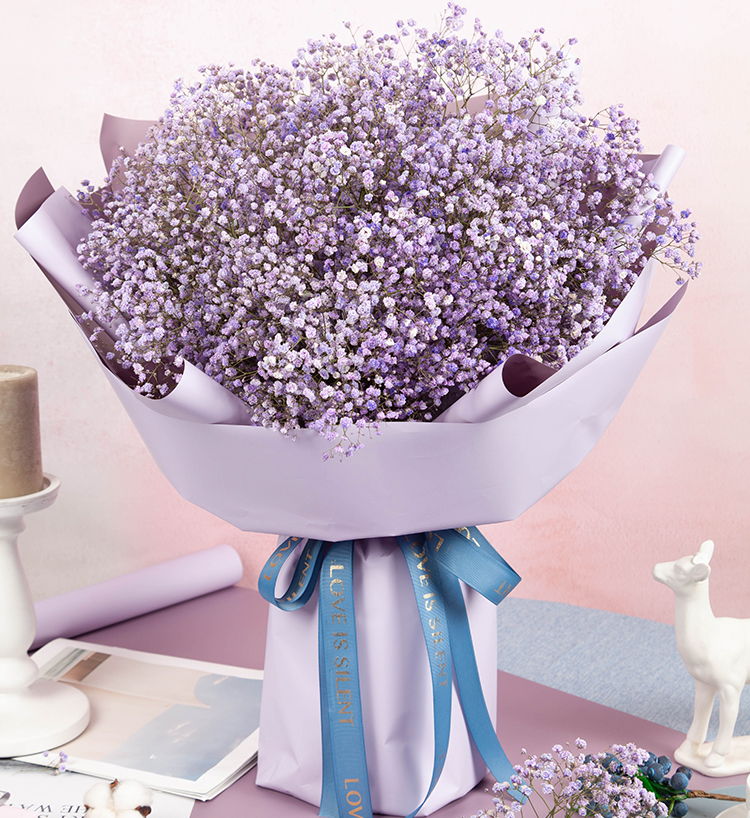 10 gypsophiles violet clair