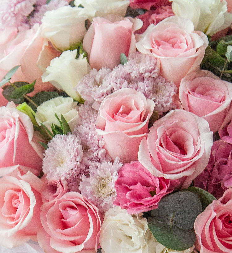 Cher toi/16 roses roses