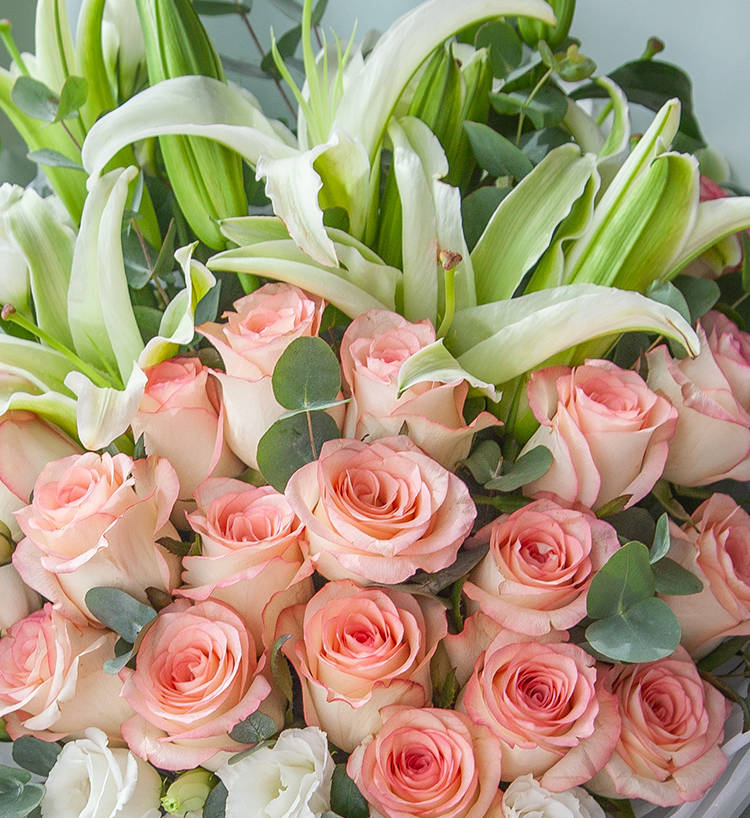 Lys chaud/Rose 19/Lis 5