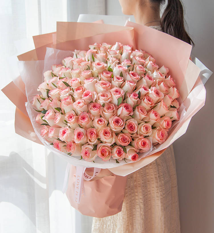 Princesse Elsa/Elsa Rose 99 pièces