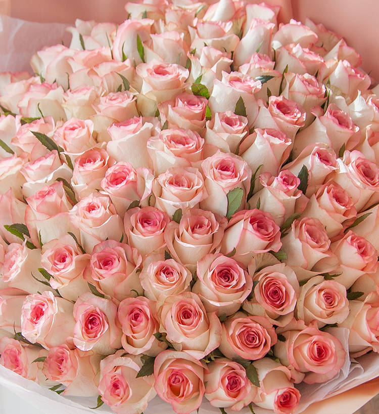 Princesse Elsa/Elsa Rose 99 pièces