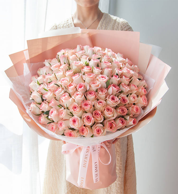Princesse Elsa/Elsa Rose 99 pièces