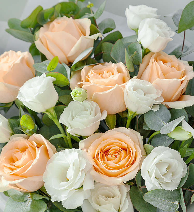 Moment d'amour/6 roses, 5 feuilles d'eucalyptus