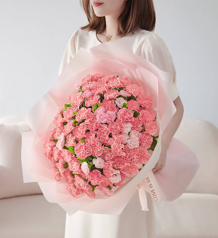 Sentiments chaleureux/66 œillets roses
