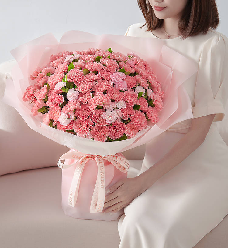 Sentiments chaleureux/66 œillets roses