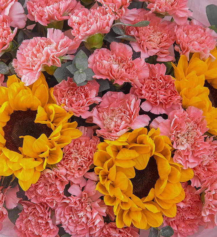 Visage souriant/33 œillets roses, 3 tournesols