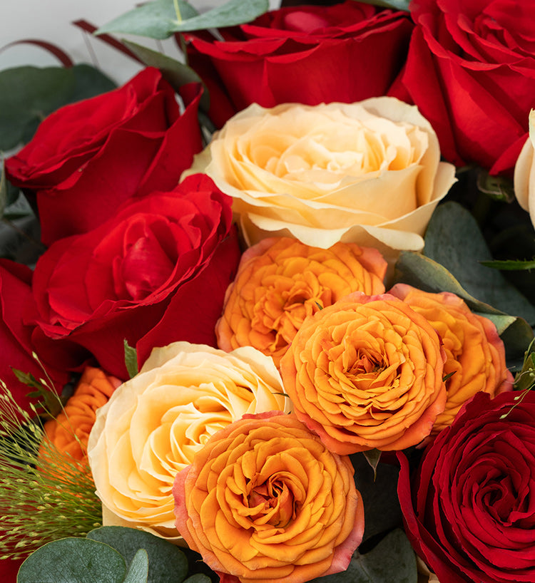 Only Love (14 roses rouges et 5 roses champagne)