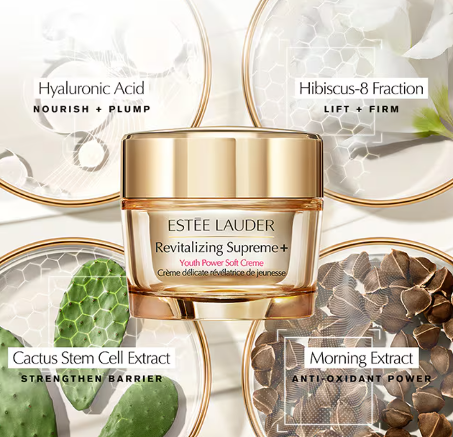Estee Lauder Day Essentials Starter Duo