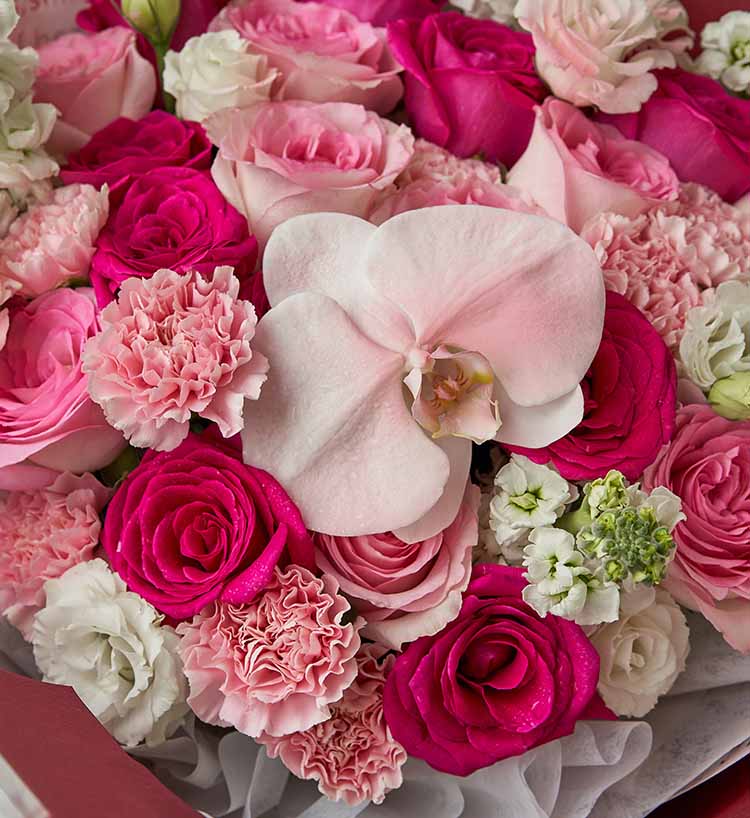 Bouquet de roses aux couleurs variées et réconfortantes : 10 roses Freud, 9 roses Roselle, phalaenopsis, œillet et violette