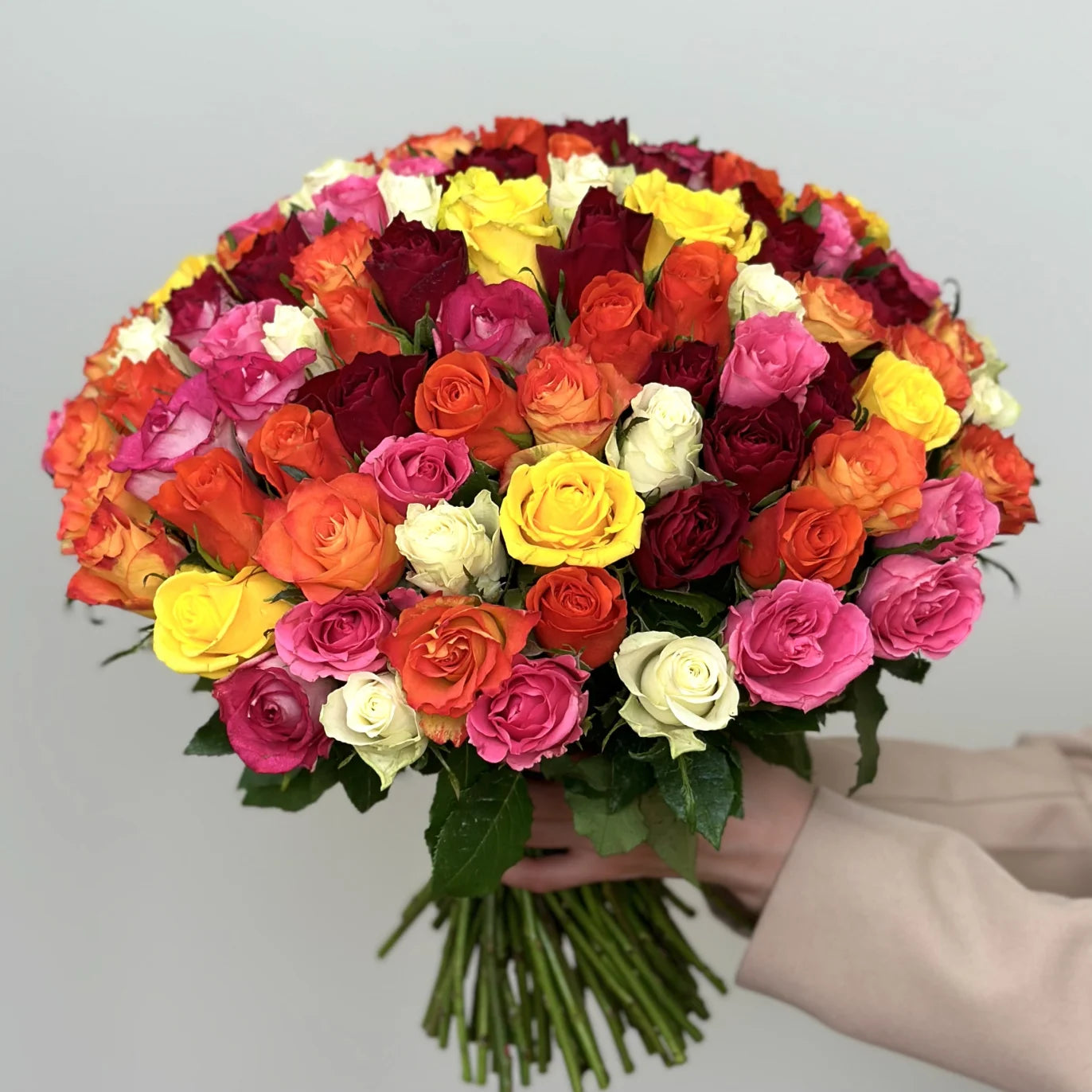 Belle sélection/Mélange de 100 roses