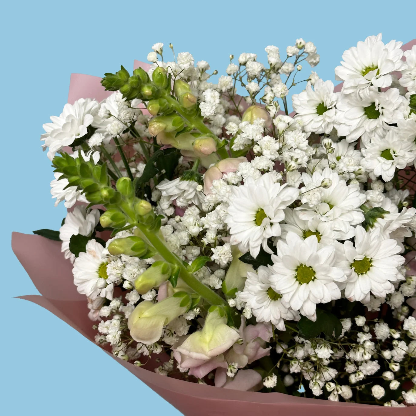 Bulle de rêve/Chrysanthème blanc Santini/Gypsophile blanc/Muflier blanc