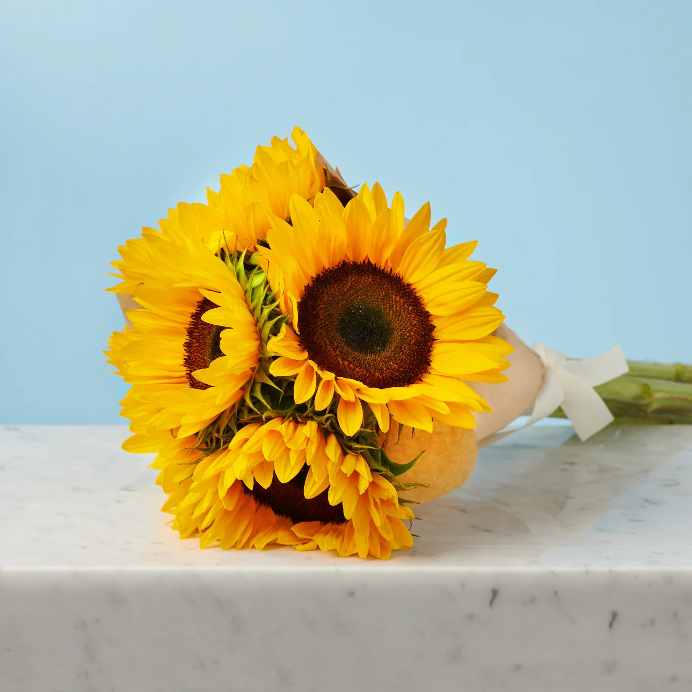 Joyeux anniversaire/5 tournesols