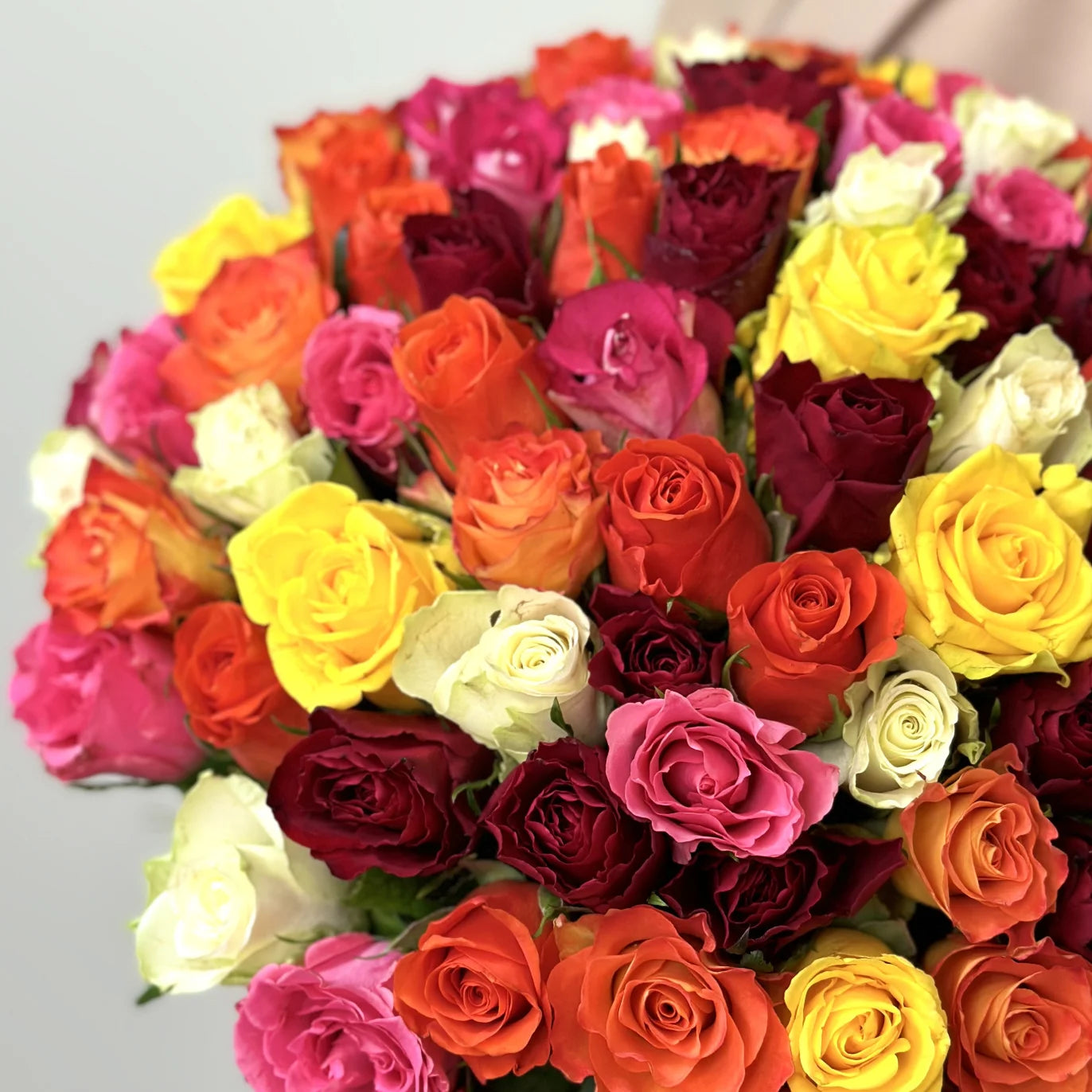 Belle sélection/Mélange de 100 roses