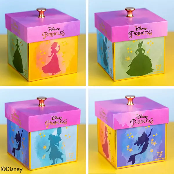 Boîte d'explosion des princesses Disney 