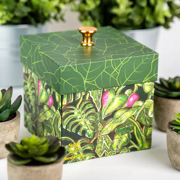 Coffret cadeau d'anniversaire pour amoureux des plantes