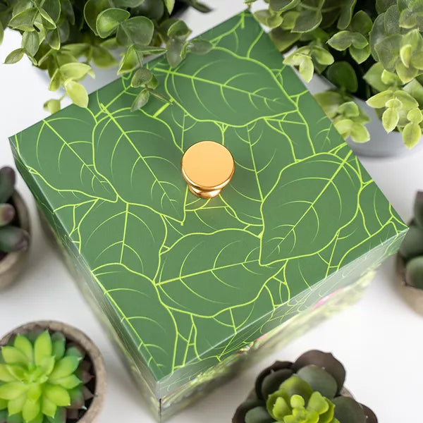 Coffret cadeau d'anniversaire pour amoureux des plantes