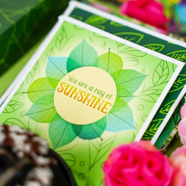 Coffret cadeau d'anniversaire pour amoureux des plantes