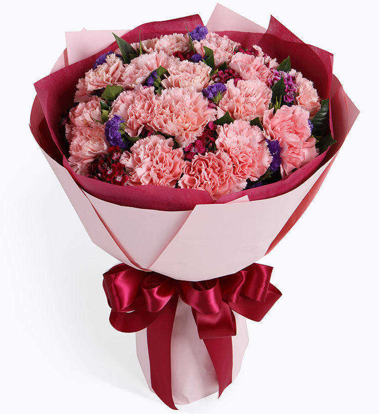 Le bonheur fleurit/19 œillets roses