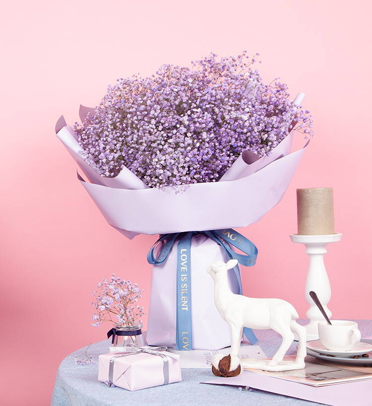 10 gypsophiles violet clair