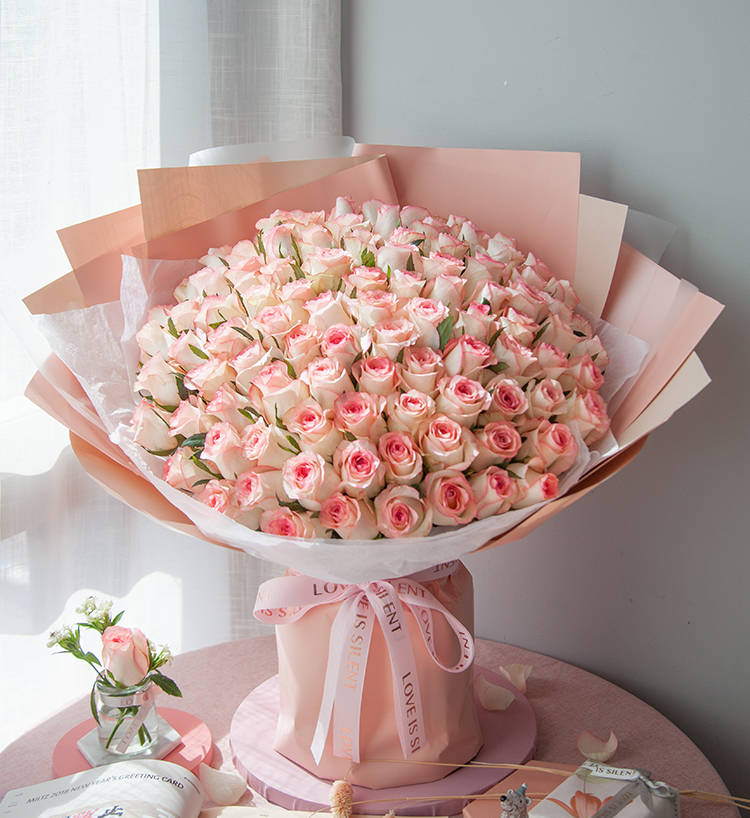 Princesse Elsa/Elsa Rose 99 pièces