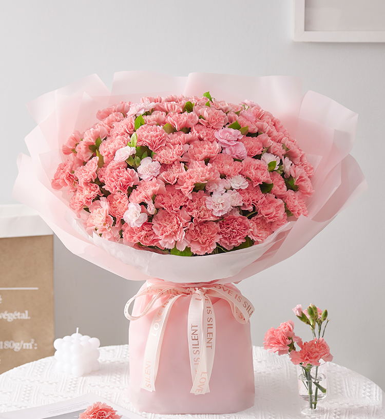 Sentiments chaleureux/66 œillets roses
