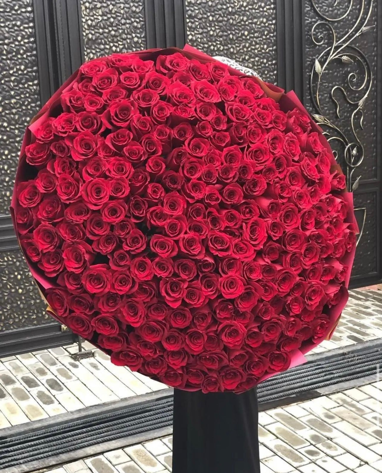 Roses rouges battantes/500 pièces