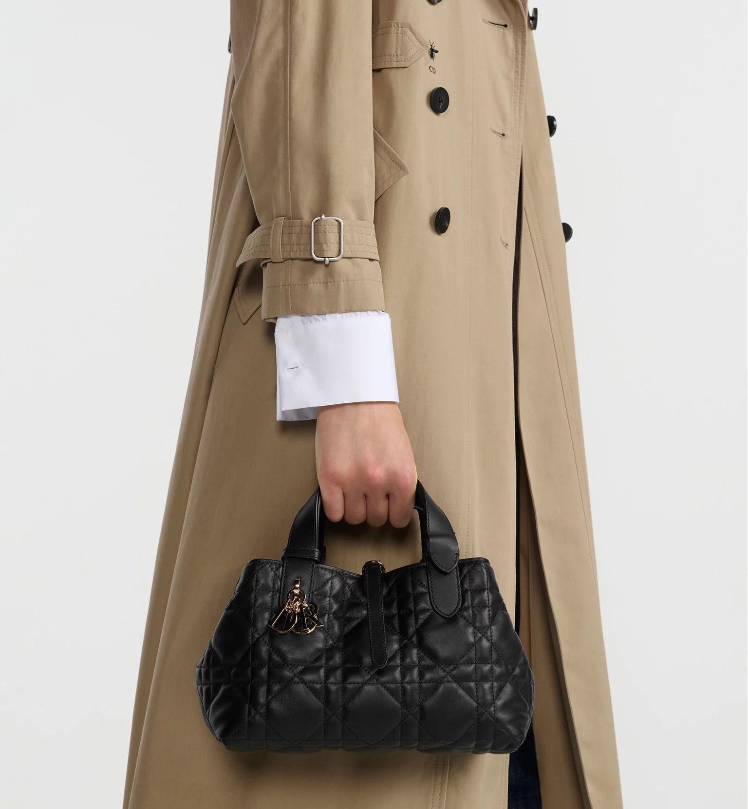 Petit sac Dior Toujours 