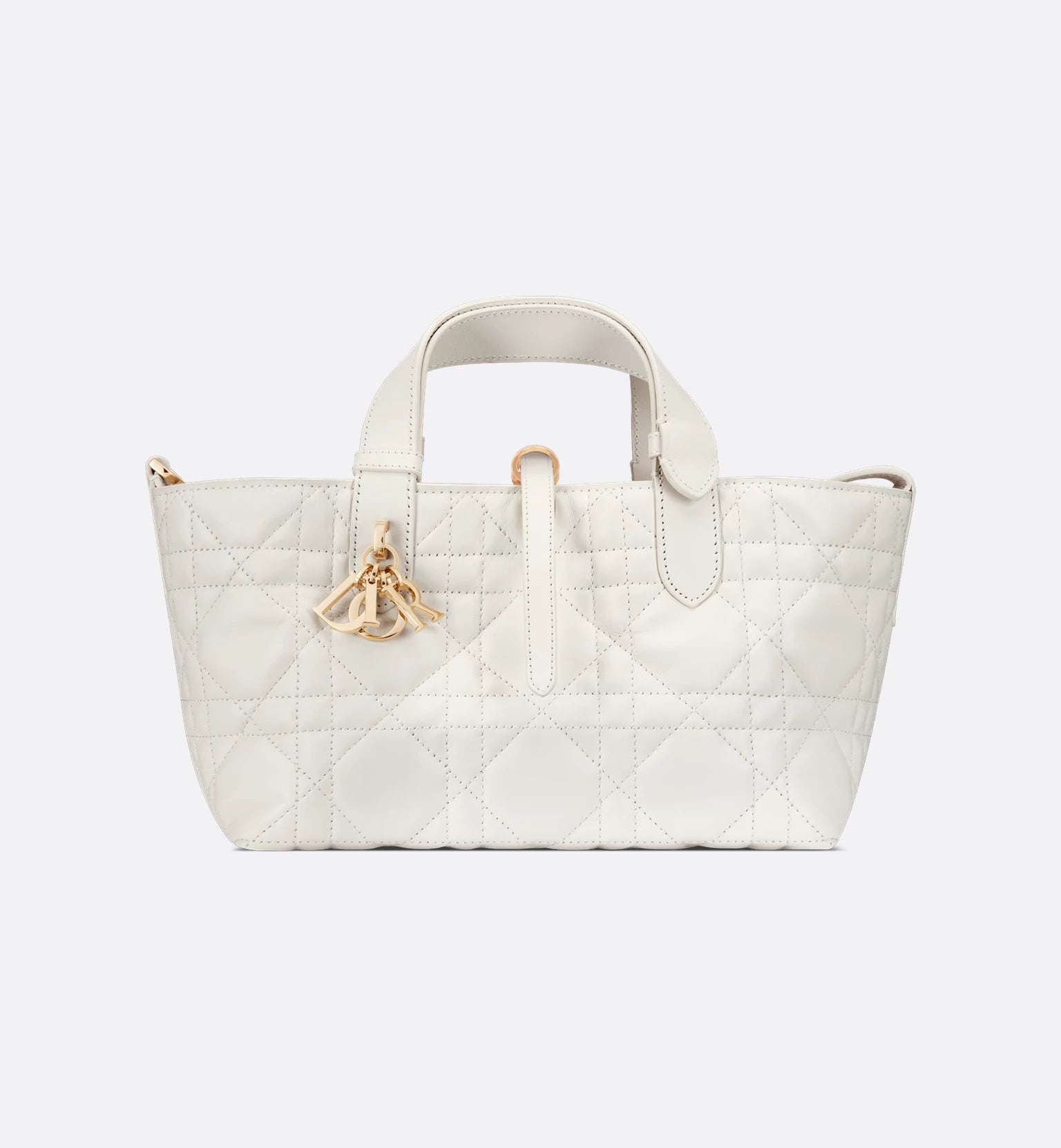 Petit sac Dior Toujours 