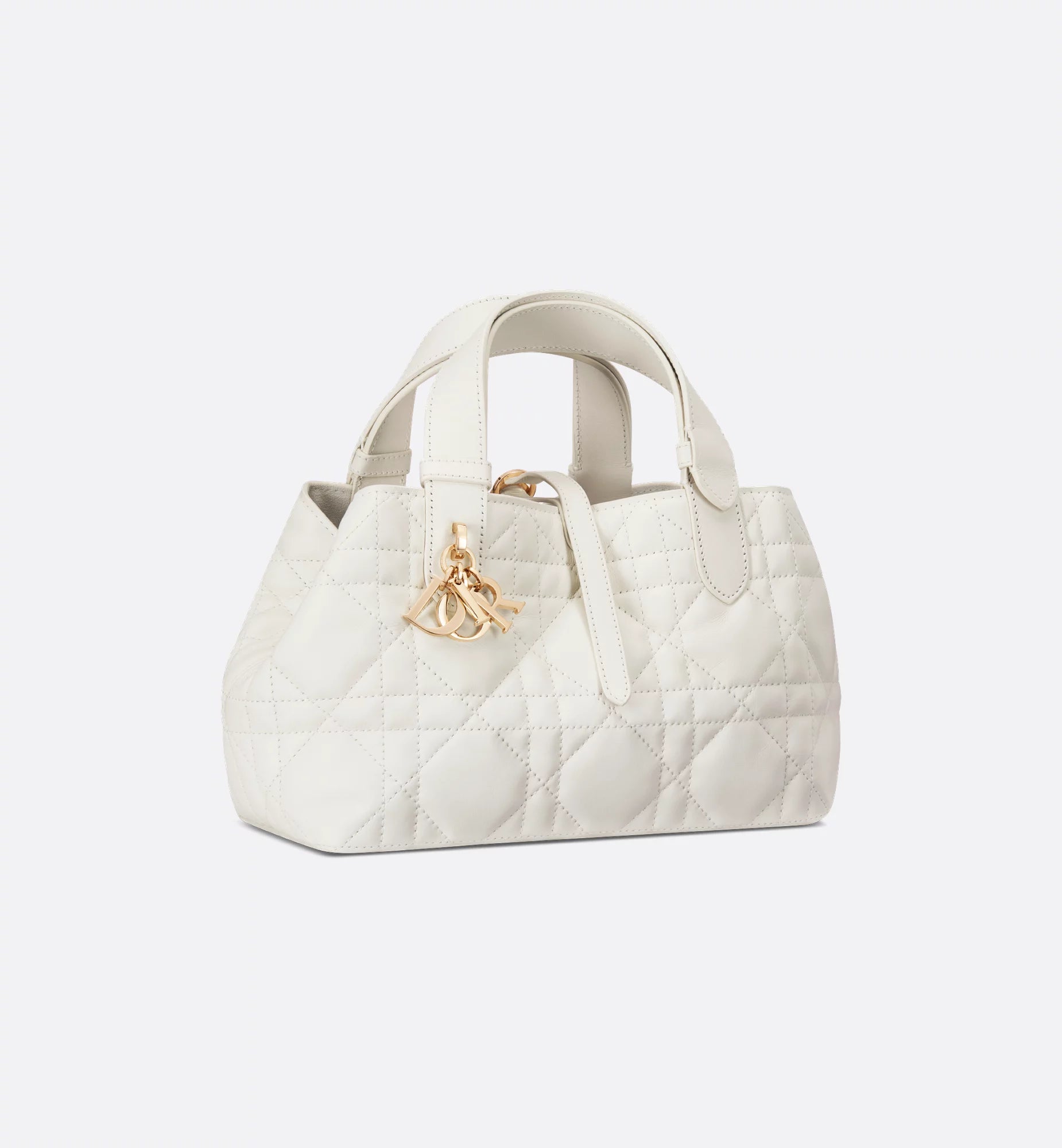 Petit sac Dior Toujours 