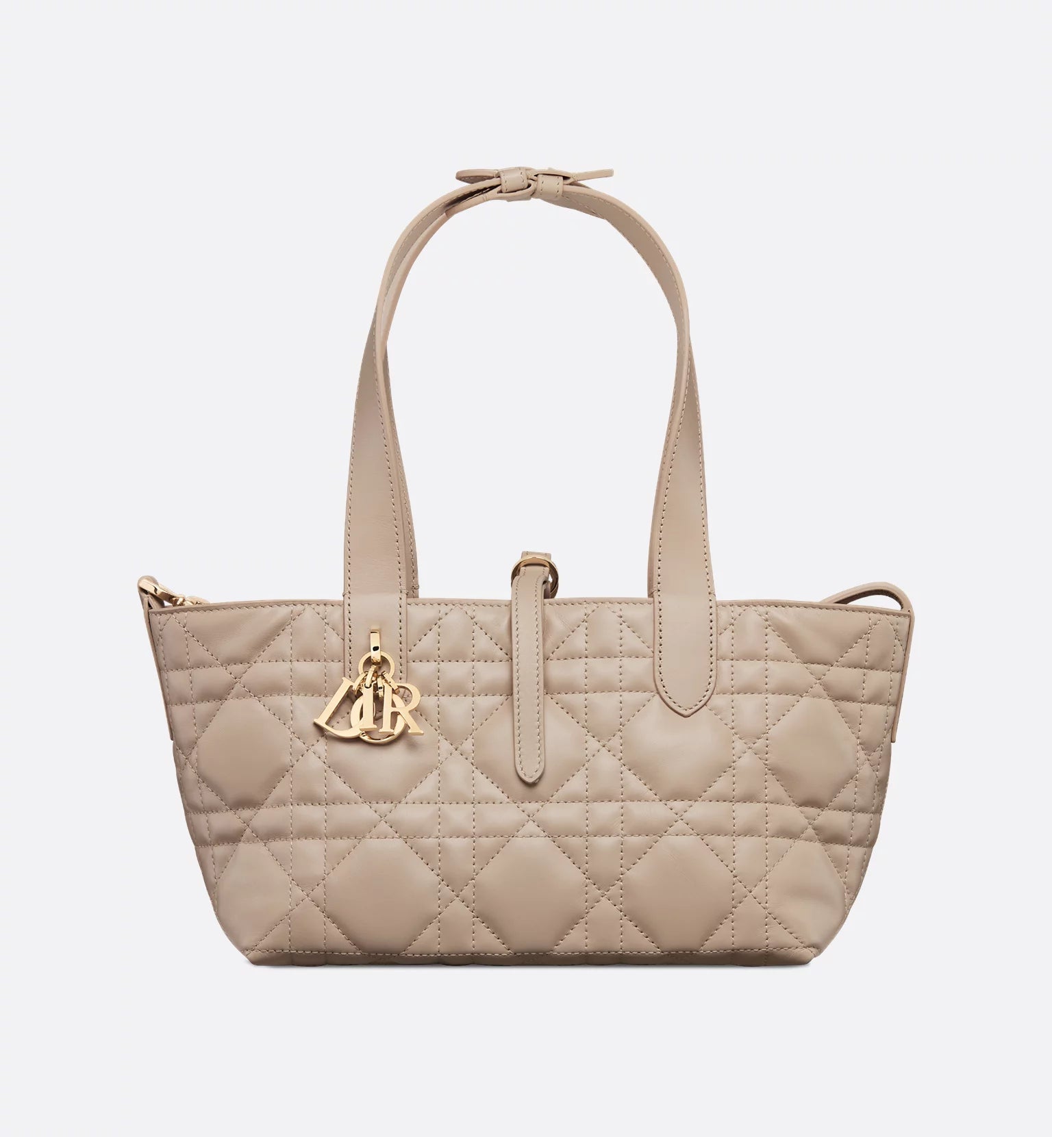 Petit sac Dior Toujours 