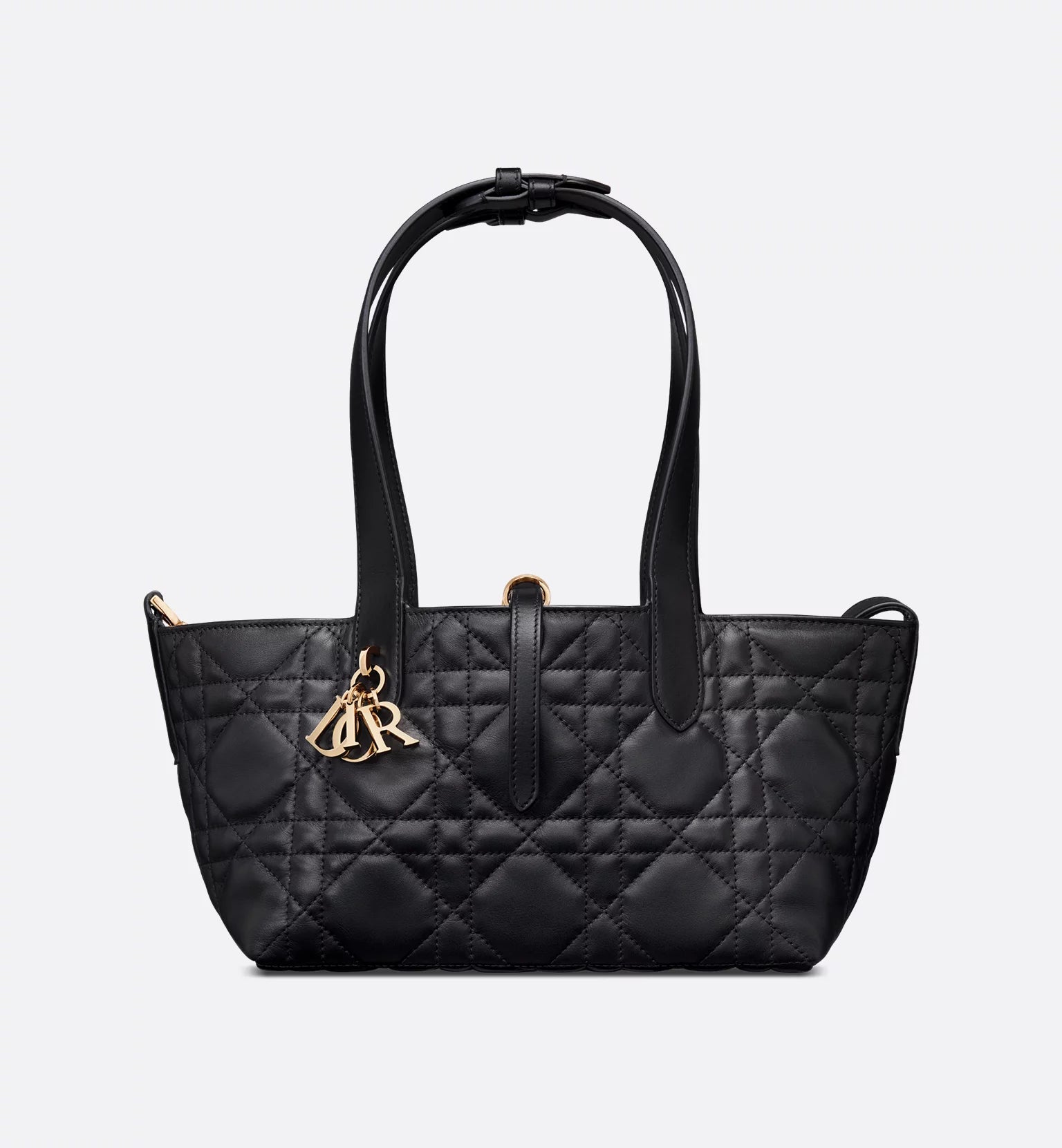 Petit sac Dior Toujours 