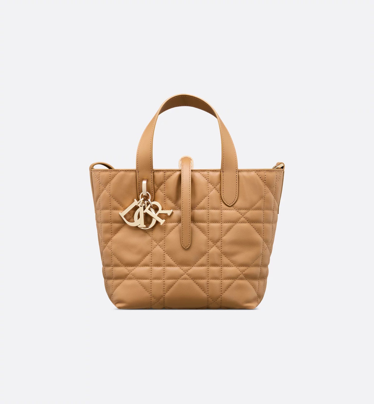 Sac cabas vertical Dior Toujours 