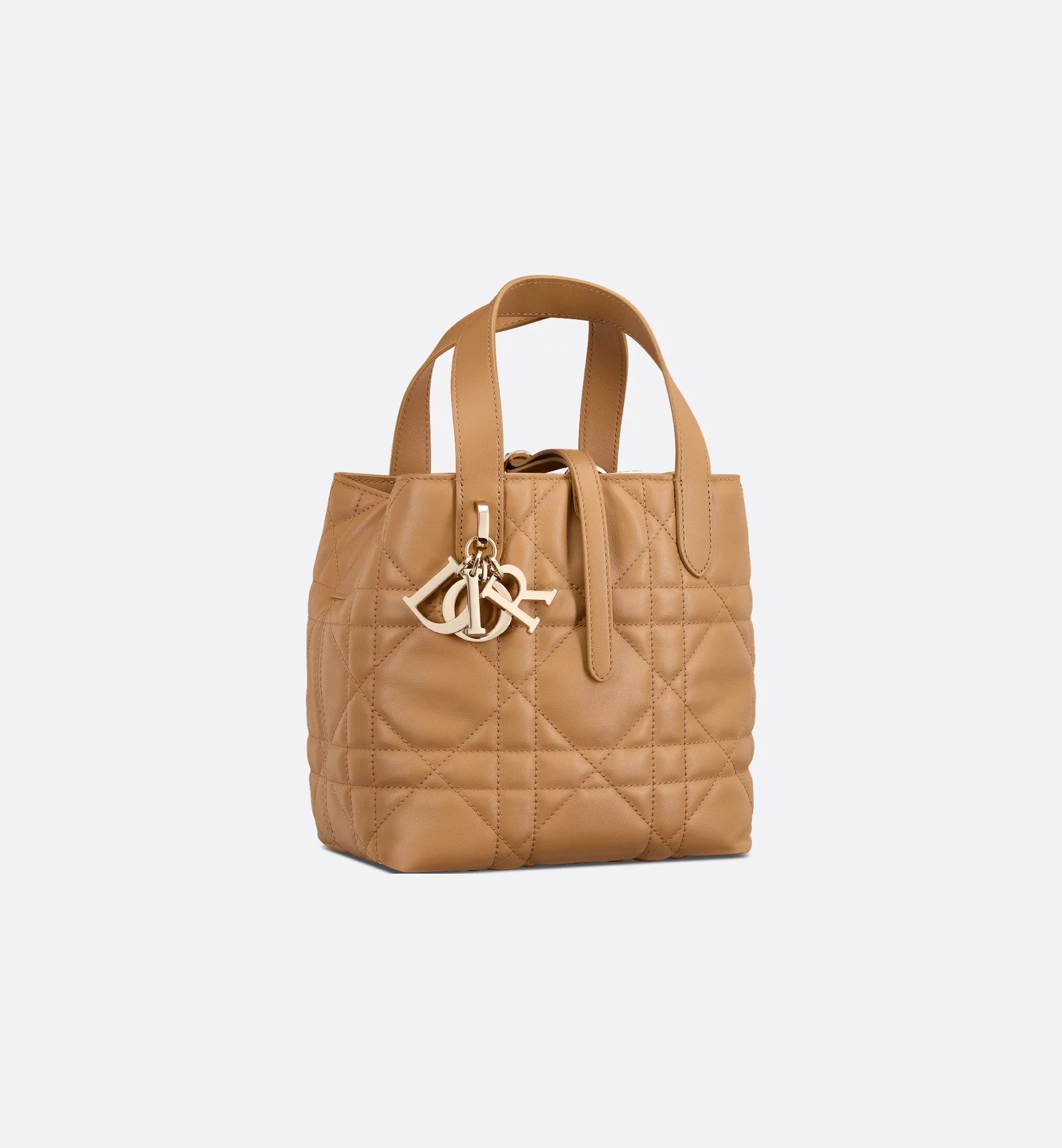 Sac cabas vertical Dior Toujours 
