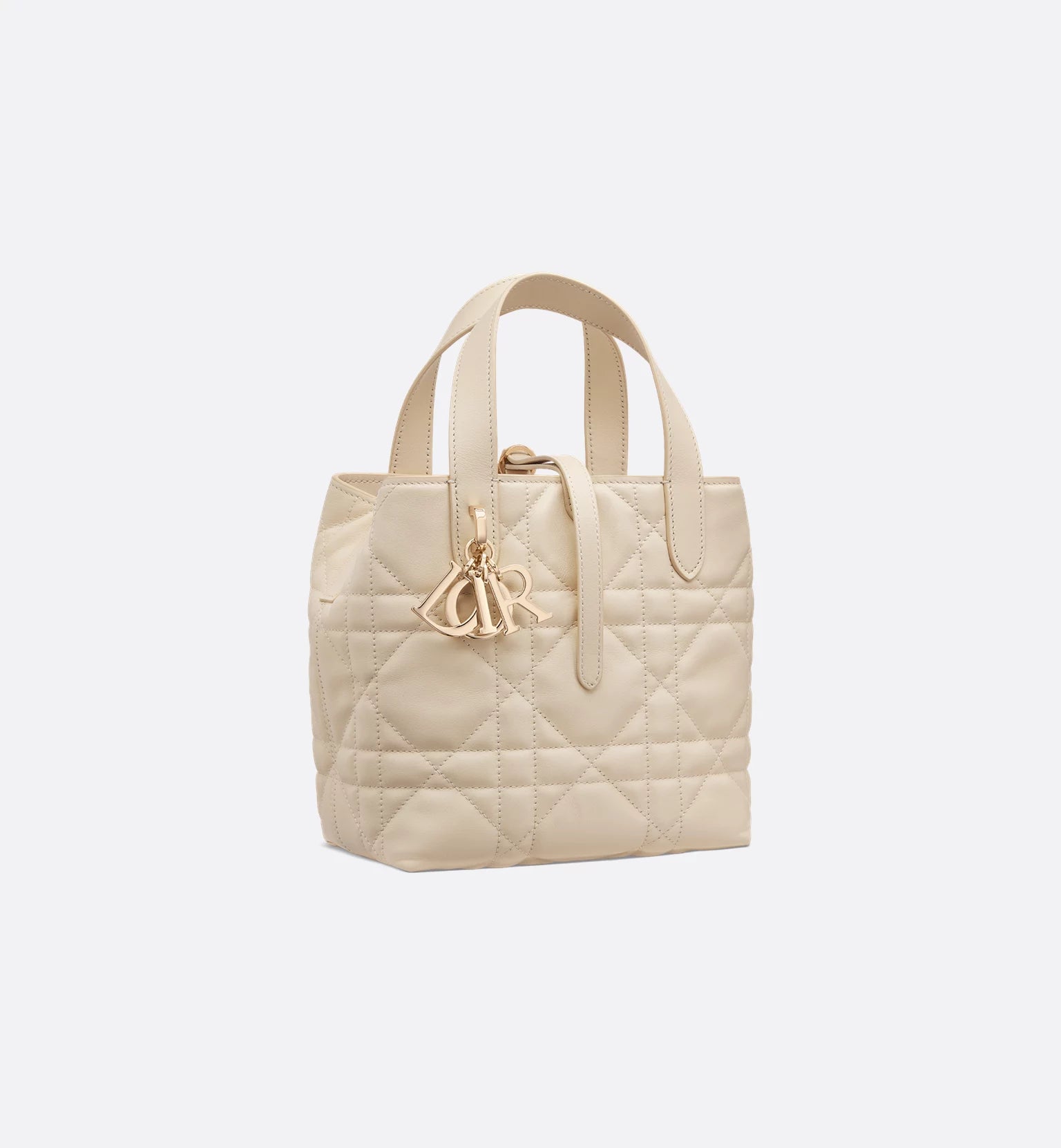 Sac cabas vertical Dior Toujours 