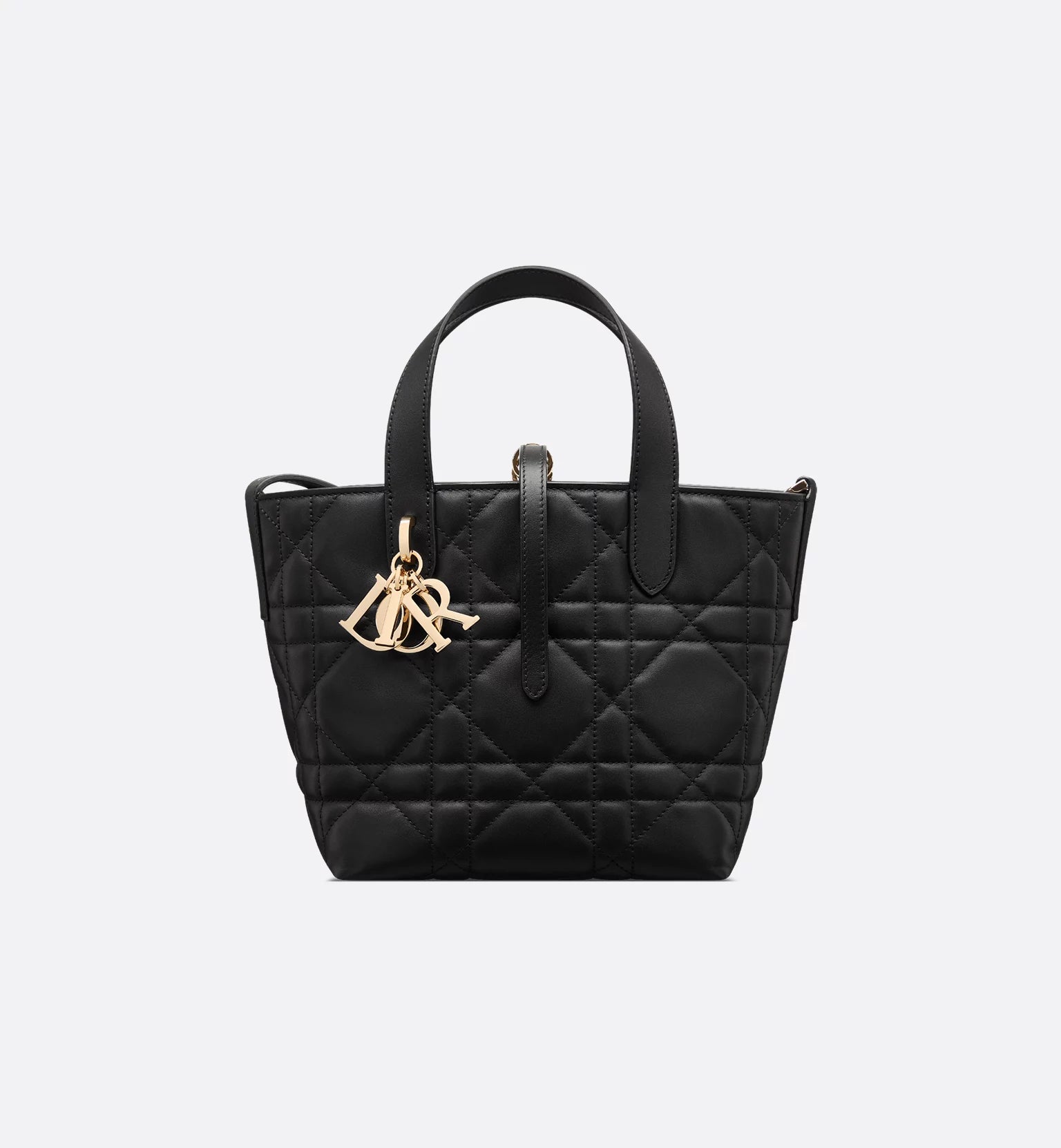 Sac cabas vertical Dior Toujours 