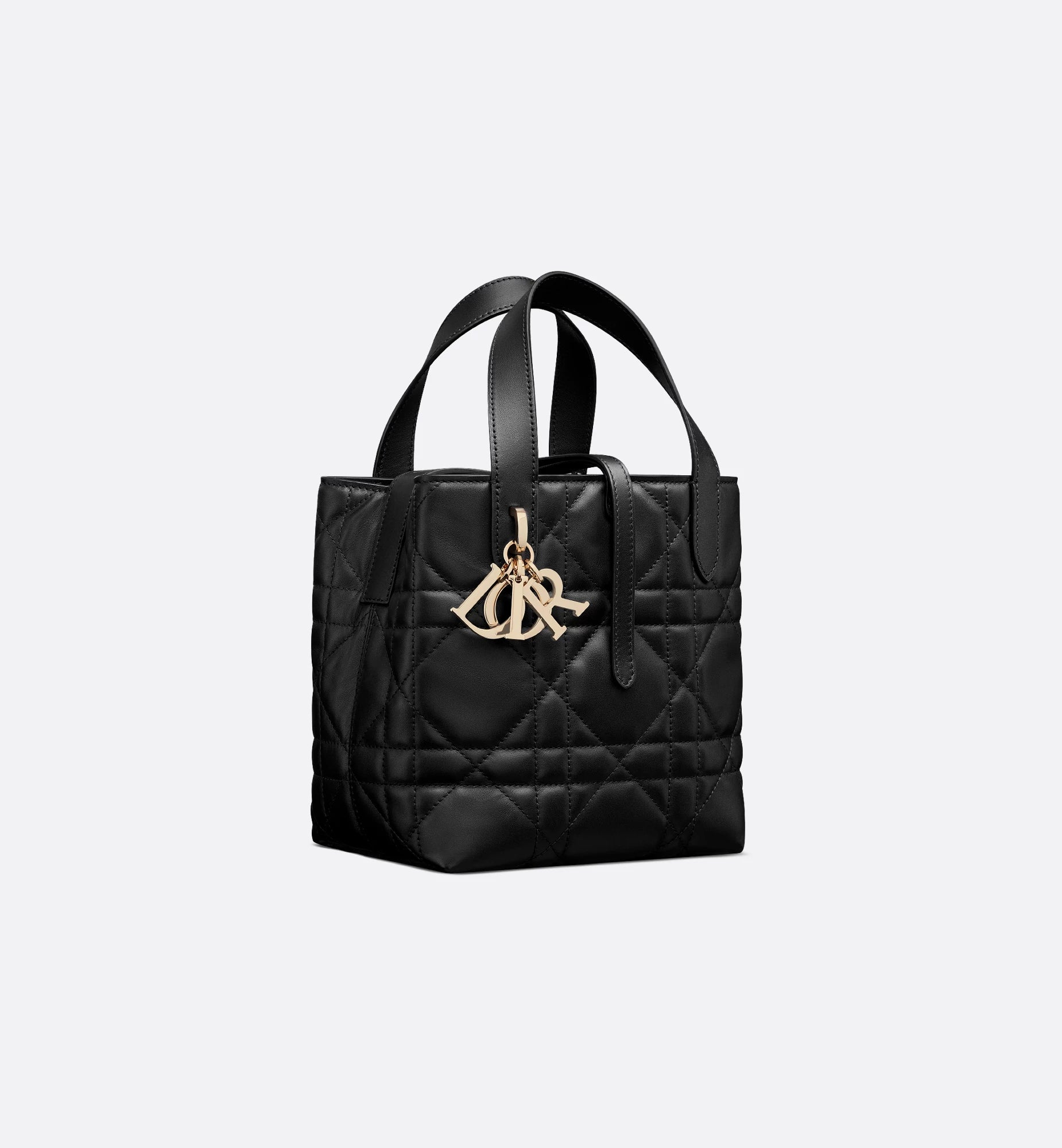 Sac cabas vertical Dior Toujours 