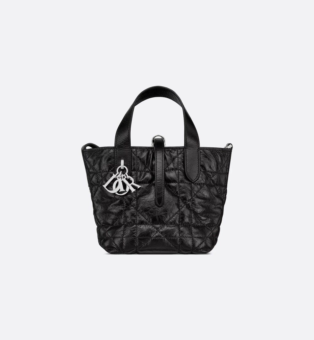 Dior Toujours Vertical Nano Tote 