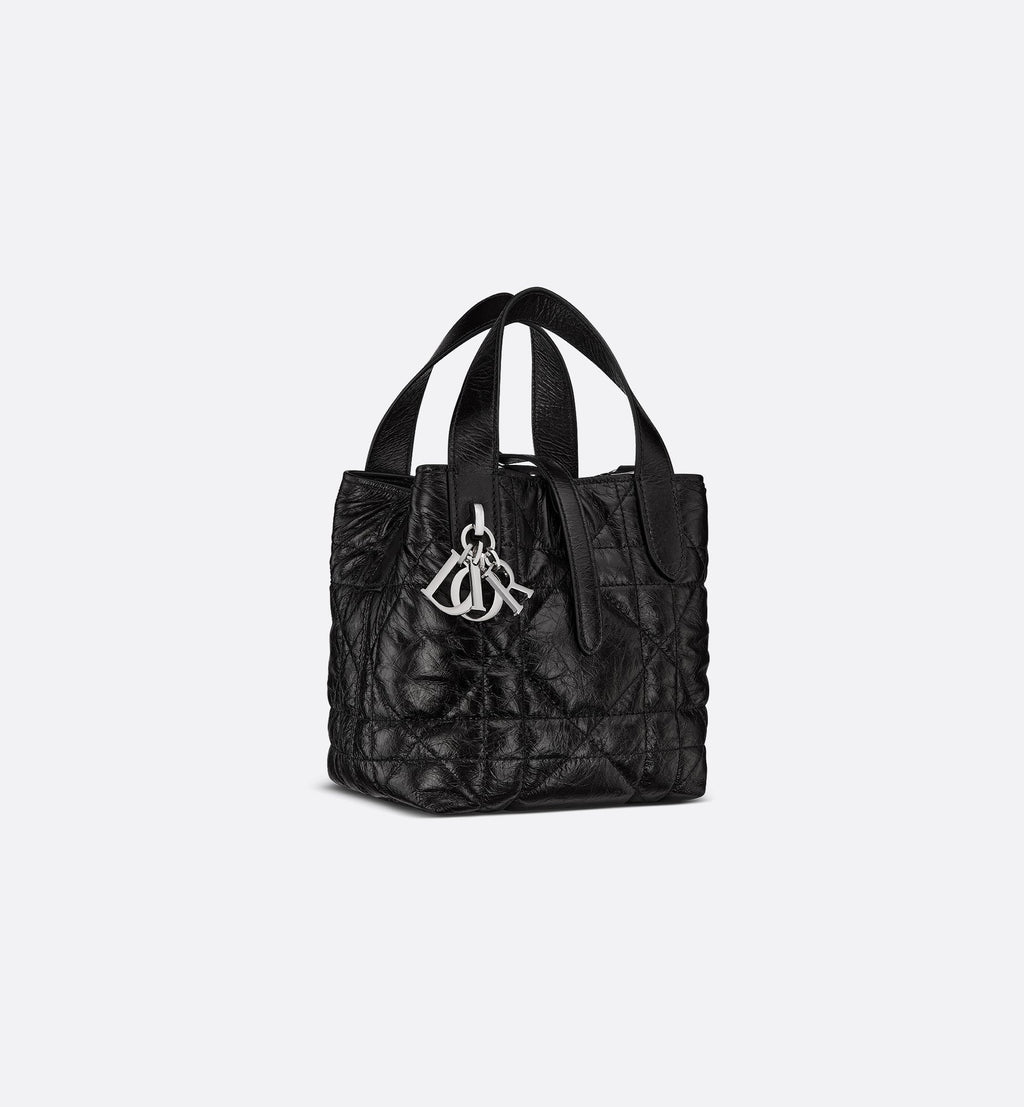 Dior Toujours Vertical Nano Tote 