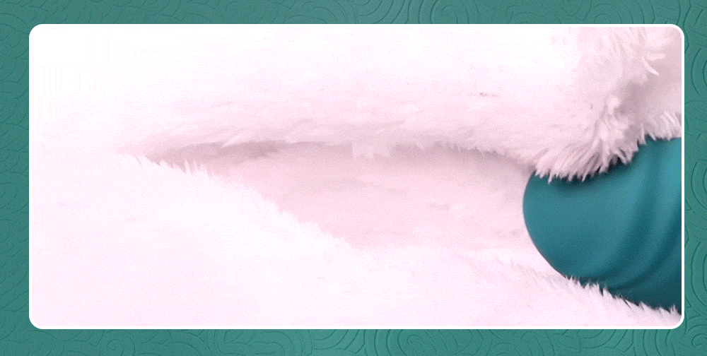 G-Spot Rabbit Vibrator