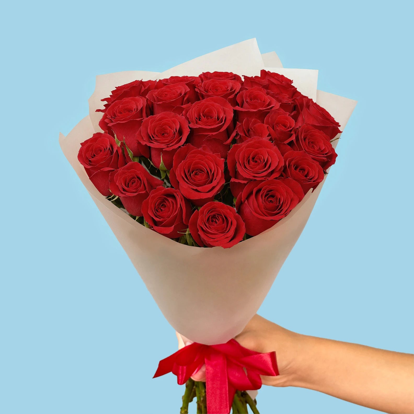 Roses rouges/20