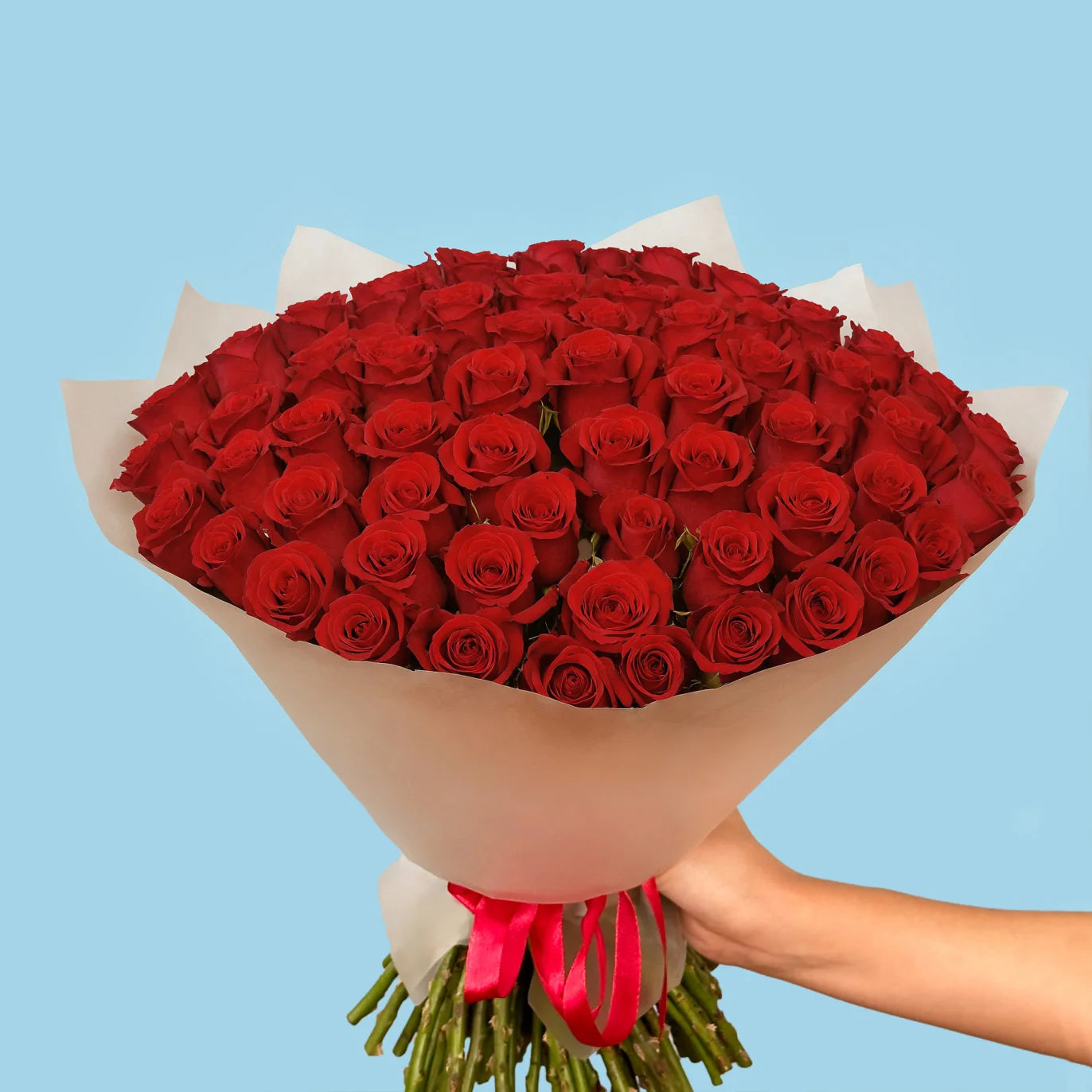 Love Red Rose/99 pièces