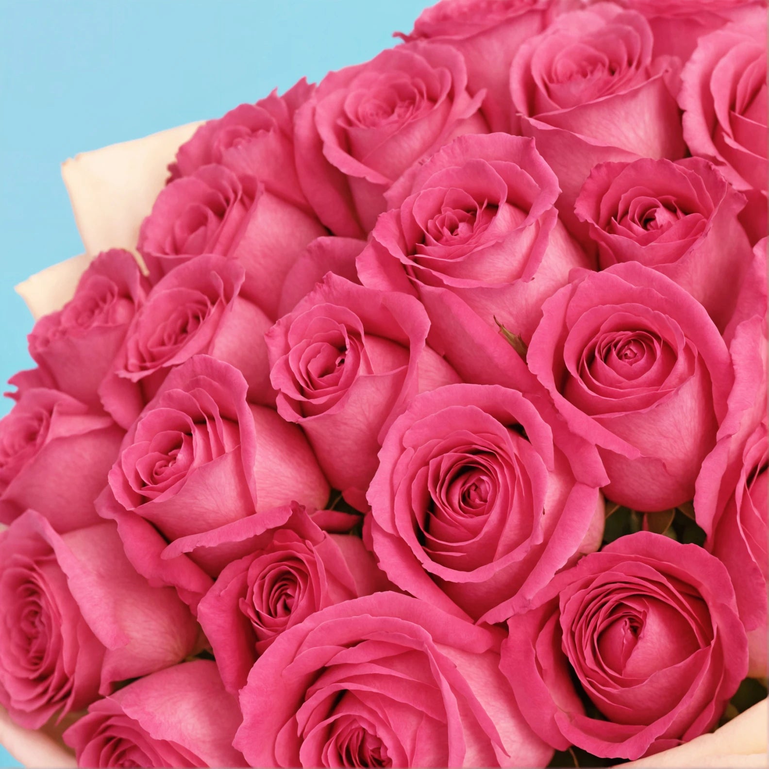 Bouquet de roses roses douces/35 pièces
