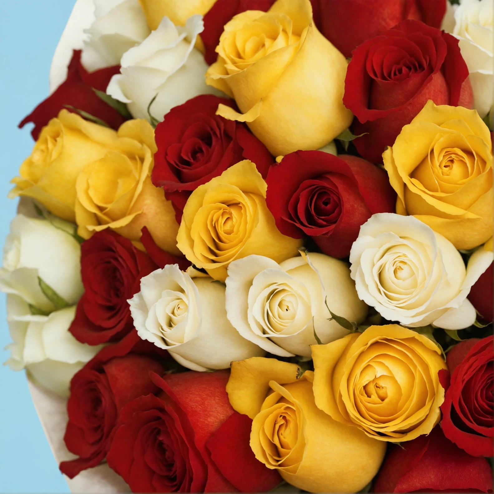 Doux Rythme/50 Roses