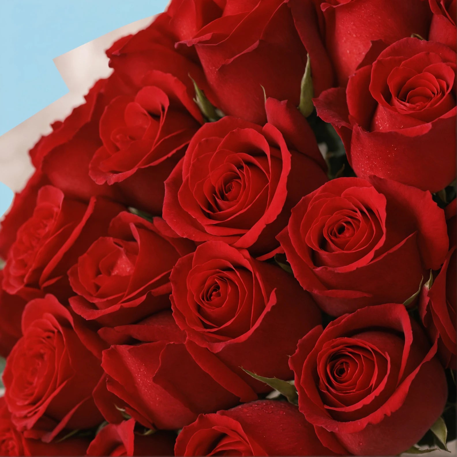 Bouquet de roses rouges Love/35 pièces